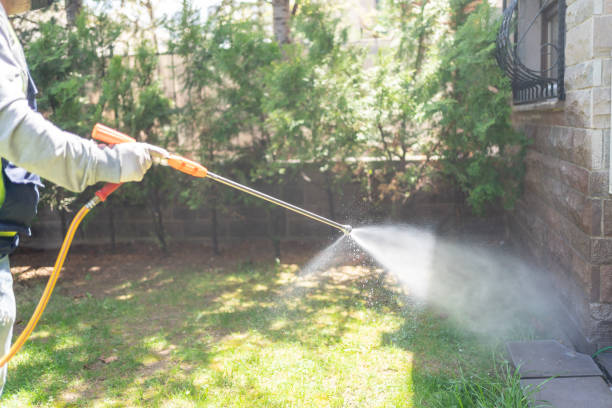 Reliable On Top Of The World Designated Place, FL Pest Control Solutions